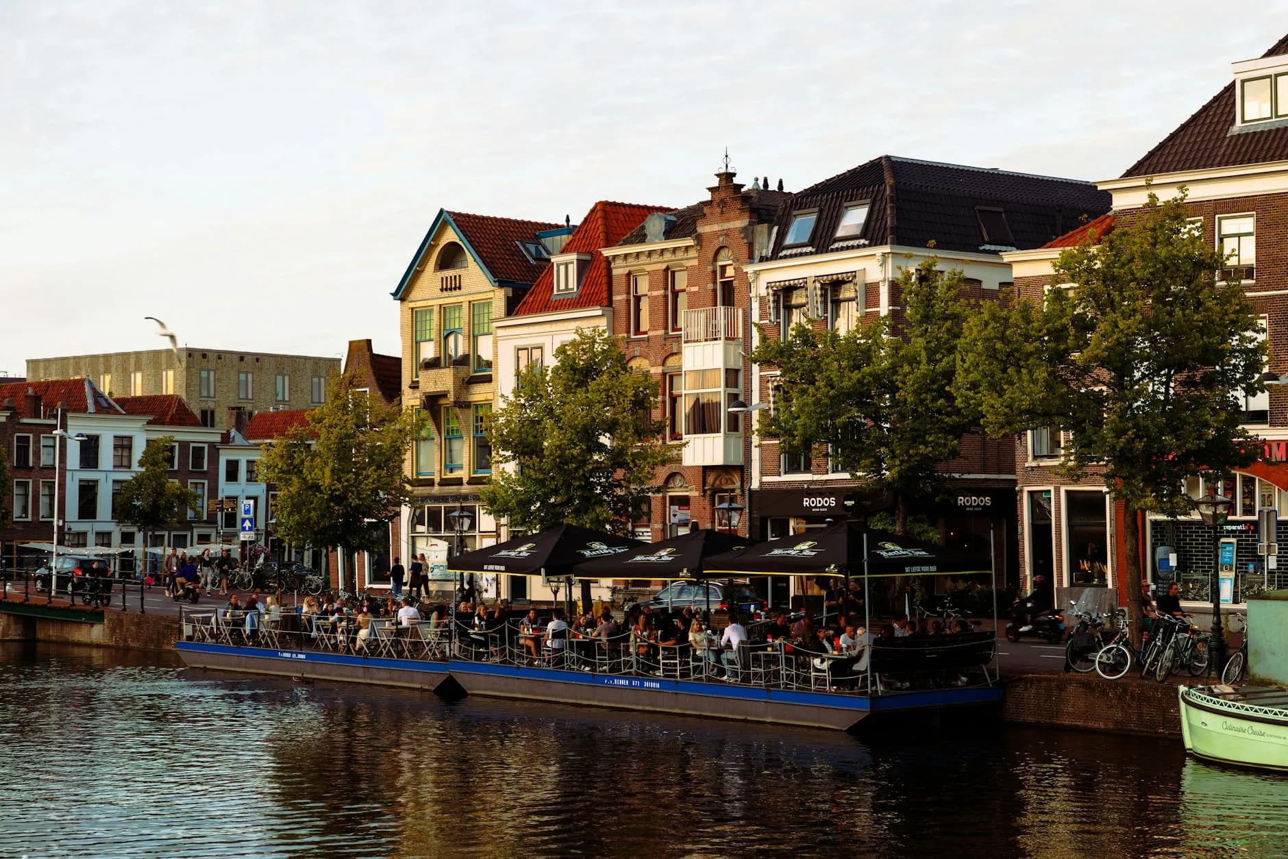 MJOP VvE Leiden: Essentiële Strategieën voor Succes